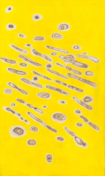 Simptomi. D Saplāksnis, akrils, slīpējums ar leņķa slīpma&amp;scaron;īnu (fleksi), 200x120 cm,2015
